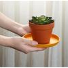 Best-Selling Plastic Bone-Spitting Dish: Elegant & Practical Serving Plate for Snacks, Fruits & Household Meals