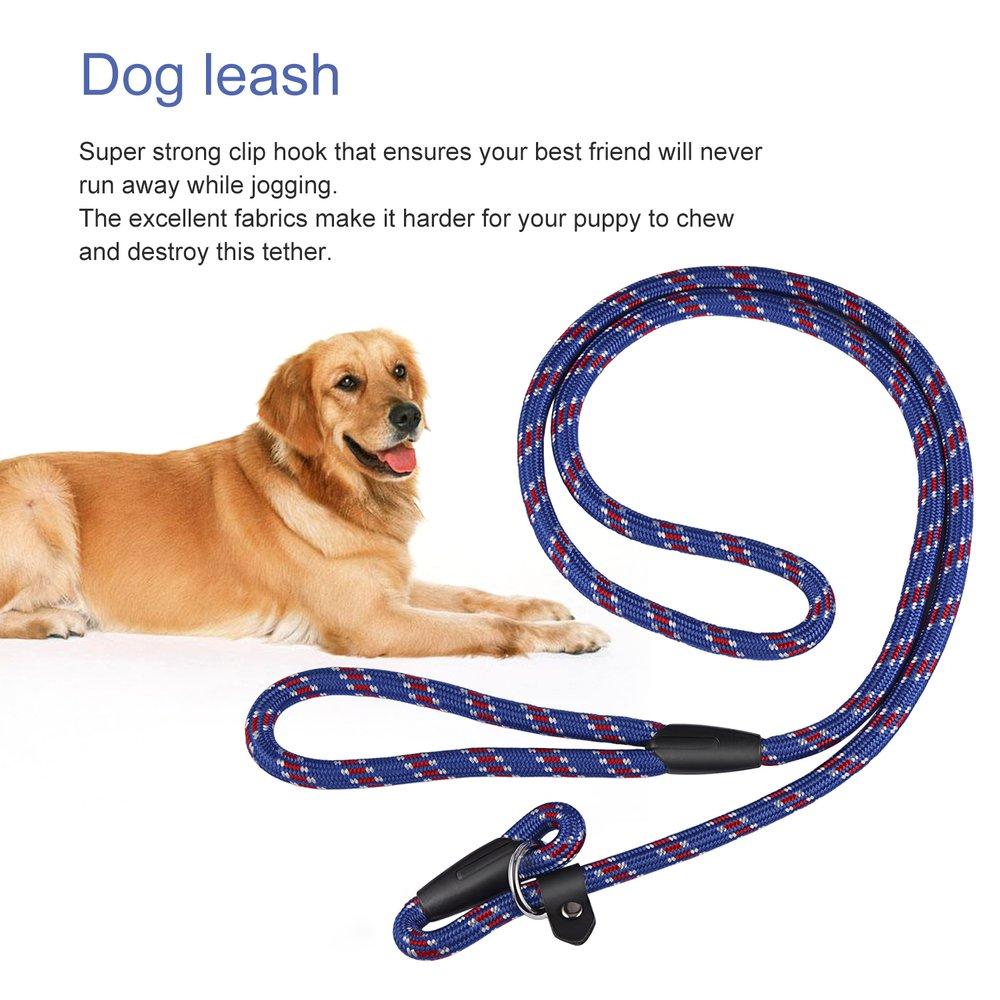 dog training leash
