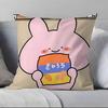 Cartoon A-Asamimichan Cute Bunny Pillow Case  Ultra Soft Skin Friendly Fabric Cloud Like Comfort & Concealed Zipper