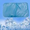 Summer Portable Sleep Chillow Pillow Ice Pad With Water Filling For Rest Home