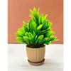 6 Packs Fake Plants Small, Mini Artificial Plants Indoor For Home Farmhouse Bathroom Shelf Décor (Height : 17Cm, Chocolate) - Plastic