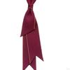 Men Necktie Men's Pretied Ties Women Pre Tied Bow Tie Tuxedo Accessory Suit for