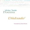 Poems by Victor Teran Pamphlet Book 9780956057617