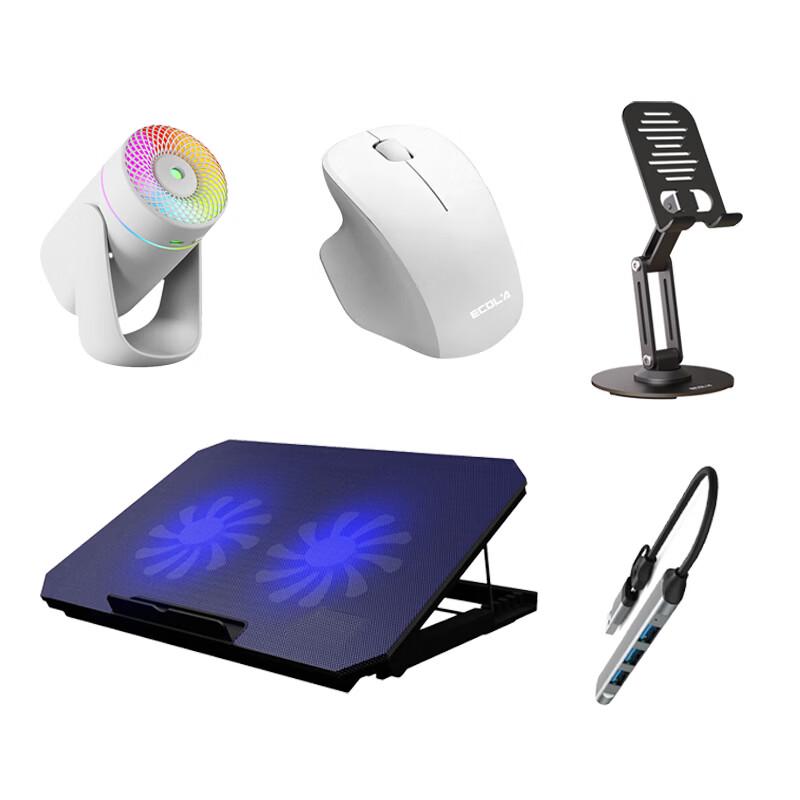 ECOLA Universal Laptop & Monitor Accessory Kit