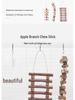 Apple Branch Ladder Toy for Hamster Cages - Climb, Hide, Chew & Decorate