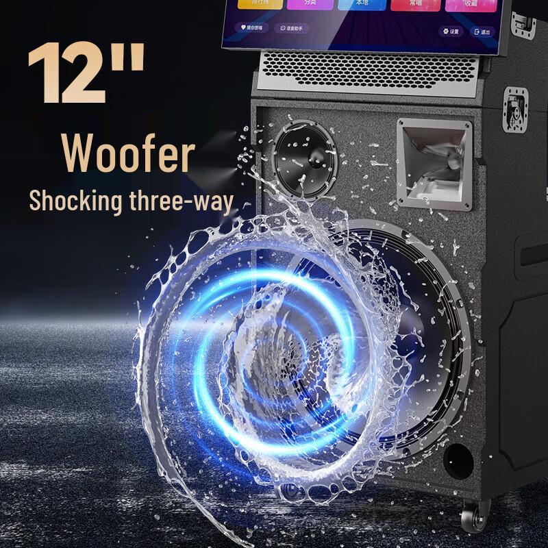 SAST WD-50 Portable KTV Speaker with 21-inch Display CN plug (adapter included)