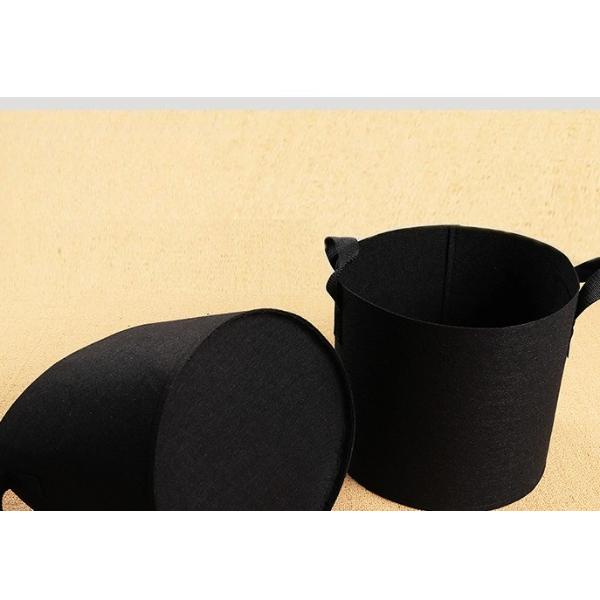 Borsa per coltivazione di piante da galloni con manici in tessuto non tessuto Borsa per coltivazione di ortaggi per la casa agricola Forniture da giardino