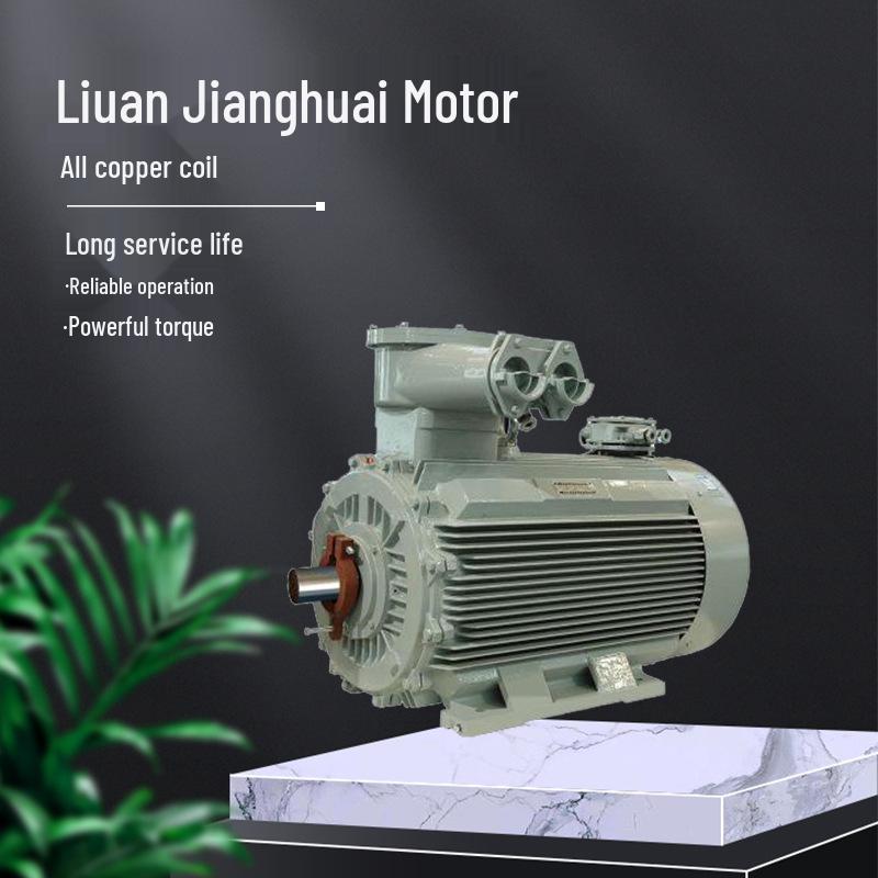 Huaihai YFB3-80~355 Serie Stofexplosieveilige Driefasige Asynchrone Motor