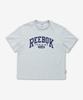 Reebok Rtc Oversized T-Shirt - Gray