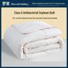 Soy Fiber Antibacterial All-Season Quilt