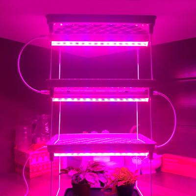 AC220V 110V LED Grow Light LED Plant Light Bar Full Spectrum Phyto Lamp Tube T5 29cm For Indoor Flowers Hydroponics System -Q
