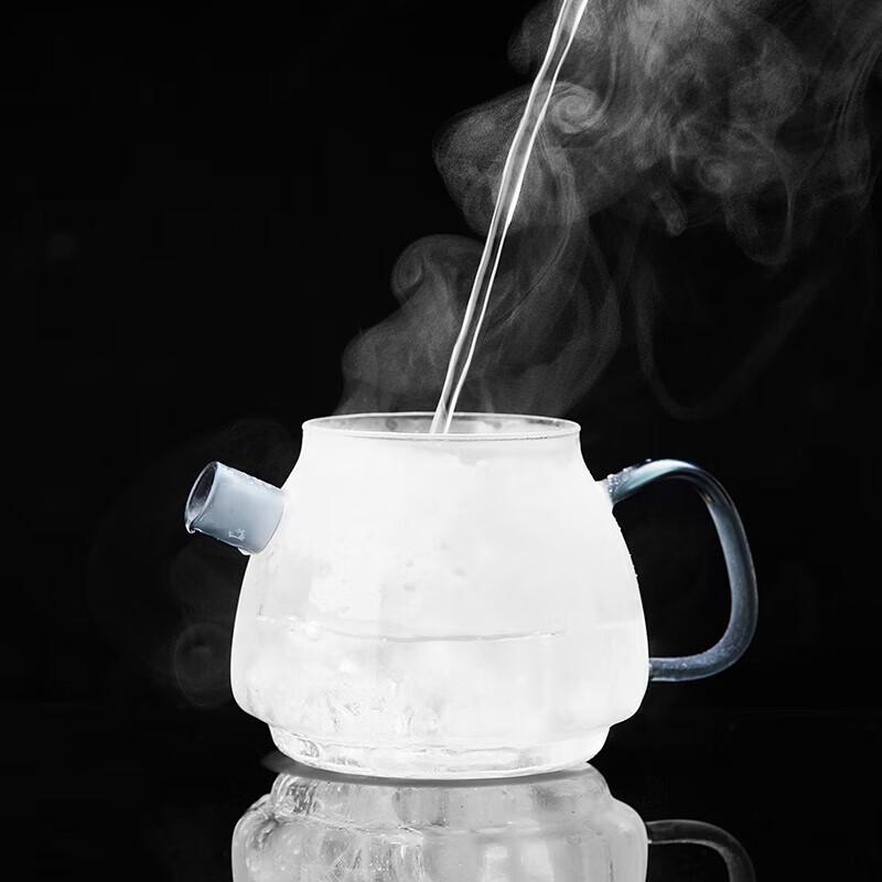 Luchangming Heat-Resistant Glass Brewing Teapot