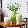 Nordic Ceramic Luxury Vase for Living Room - Minimalist Flower Arrangement Decor