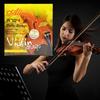 1 Set Steel-core Zinc Zinc Alloy A704 Violin Strings 4/4 3/4 1/2 1/4 1/8 Violin Strings Alice Strings  Concert