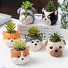 Cartoon Dog Porcelain Planter Plant Potted Plant Cute Animal Dog Tabletop Planter Modern Art Vase Interior Aesthetic Decoration