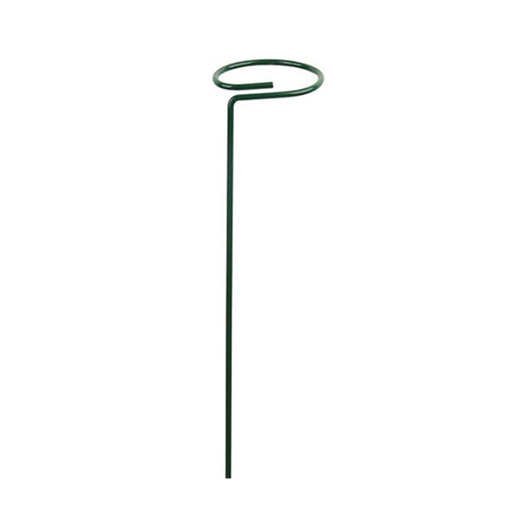 Plant Stake Metal Garden Plant Support Holder Tomatoes Peony Lily Rose Climbing