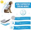 Summer Pet Dog Cooling Vest Heat Resistant Cool Dogs Clothes Breathable Jacket For Medium Large Dogs French Bulldog door Walking