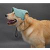 Cute Pet Baseball Cap Ear Hole Design Outdoor Sun Hat Dog Visor Cap for Golden Retriever Labrador Big Dogs Walking Travel Pet Accessories