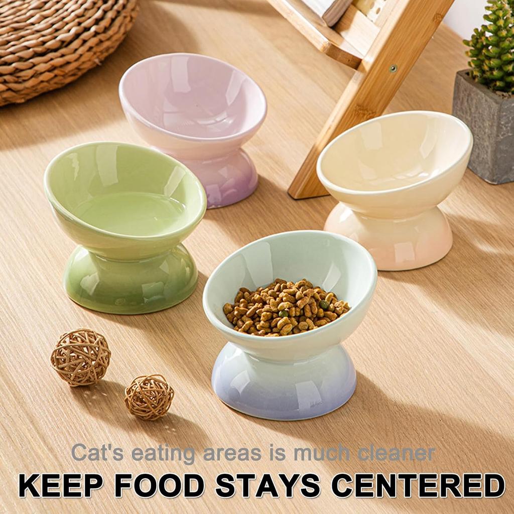 Ceramic Elevated Cat Bowls Tilted Cat Food Bowl Dish Pet Feeder Bowl Dishwasher Microwave Safe