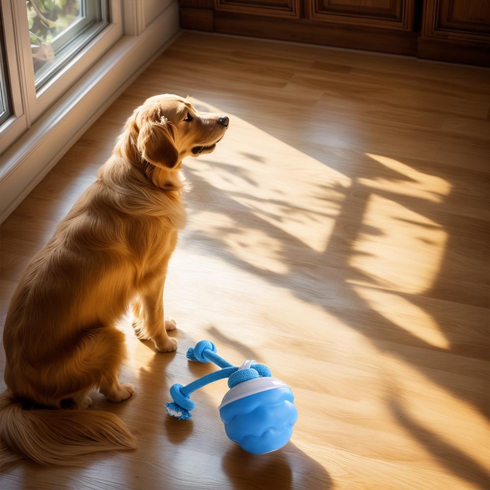 

Interactive Dog Toys Ball Automatic Bouncing Ball USB Rechargeable Motion Activate Cat Toy 3 Modes Pet Exercise Toy for Puppies UNITED KINGDOM