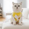 Katzen Erholungskleidung mit Fruchtmuster, Atmungsaktiv, Hohe Elastizität, Haustier Anti-Leck-Weste, Weicher Bequemer Kater Kastrationsanzug