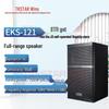 TAKSTAR EKS-121 12-inch Professional Full-Range Speaker
