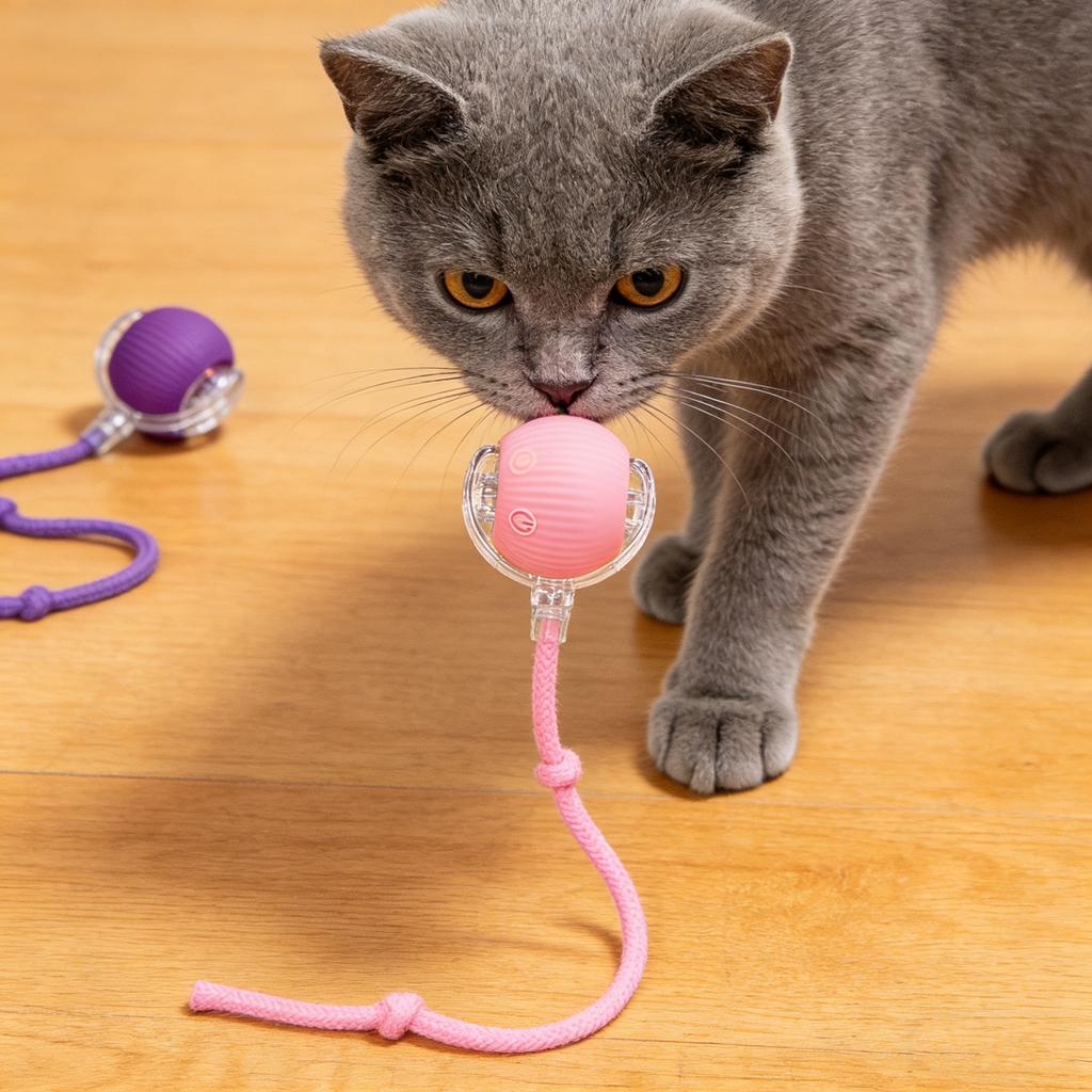 Duurzame automatische speelbal, speelgoedbal, hulpmiddel voor zelfvermaak en stressvermindering met touw, huisdierbenodigdheden, springbal