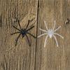 Lots 30Pcs Halloween Plastic Black Spider Joking Toys Decoration Realistic Prop