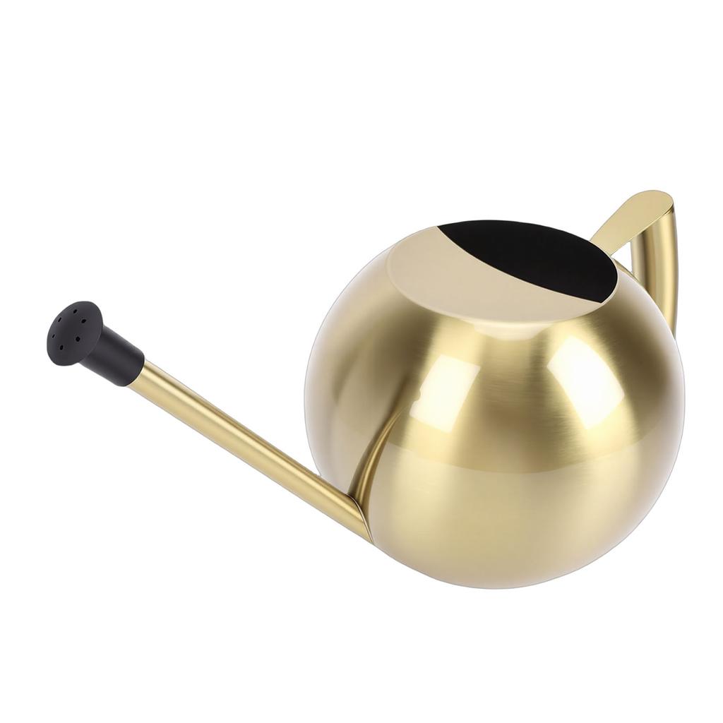 Watering Can with Spout 1000ml Stainless Steel Round Indoor Plant Watering Can with Detachable Hd for Home Garden Flower
