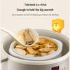 BEAR DDZ-B45B2 Electric Double Boiler Stew Pot CN Plug (adapter Included)
