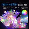 Bluetooth-gesteuerte bunte Lichterkette mit hochhellen Lampenperlen und Kupferdraht