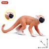 Saimiri Sciureus Monkey Static Animal Model For Educational Display And Toys