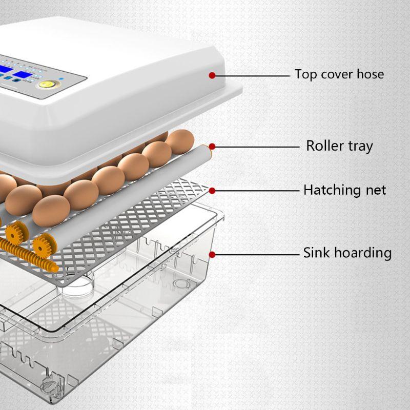 220V Eggs Incubator Brooder Bird Quail Chick Hatchery Incubator Poultry Hatcher Turner Automatic Farm Incubation Tools EU/US