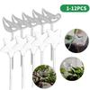 1-12 Stück Automatische Pflanzenbewässerungskugeln PVC Vogelform Transparent Selbstbewässerungskugeln Hausgarten Pflanzen Tropfer Tropfbewässerung