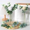 Globulus Artificial Eucalyptus Green Plant For Photography Props And Decor Home