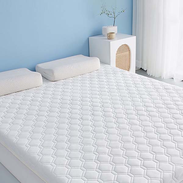 WTEMPO Soft Home Double-sided Bed Mattress Solid Color Thickened Single/Double Mattress Cushion Quilts Warm Winter Single Student Dormitory Mattress