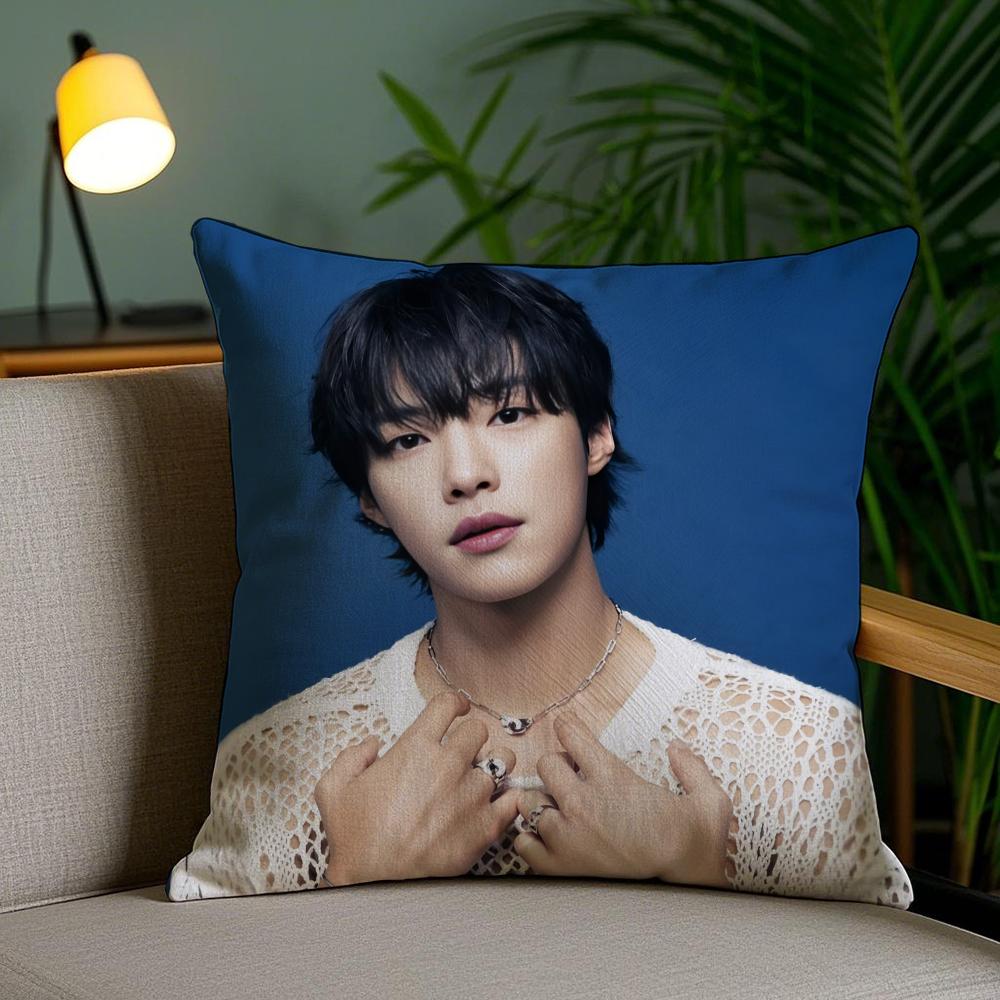 Woo Do HHwan SINGER Pillow Case Silky Elegant Comfort Sofa Bed Invisible Zipper 30X30cm