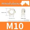 Hex Nut & Washer Set with M4*16 Self-Tapping and M6*16 Screws