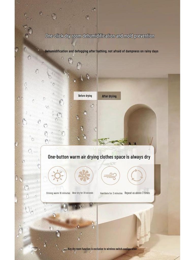 Shenhua Smart Recessed Ceiling Bath Heater with Light and Dual Motor Blades