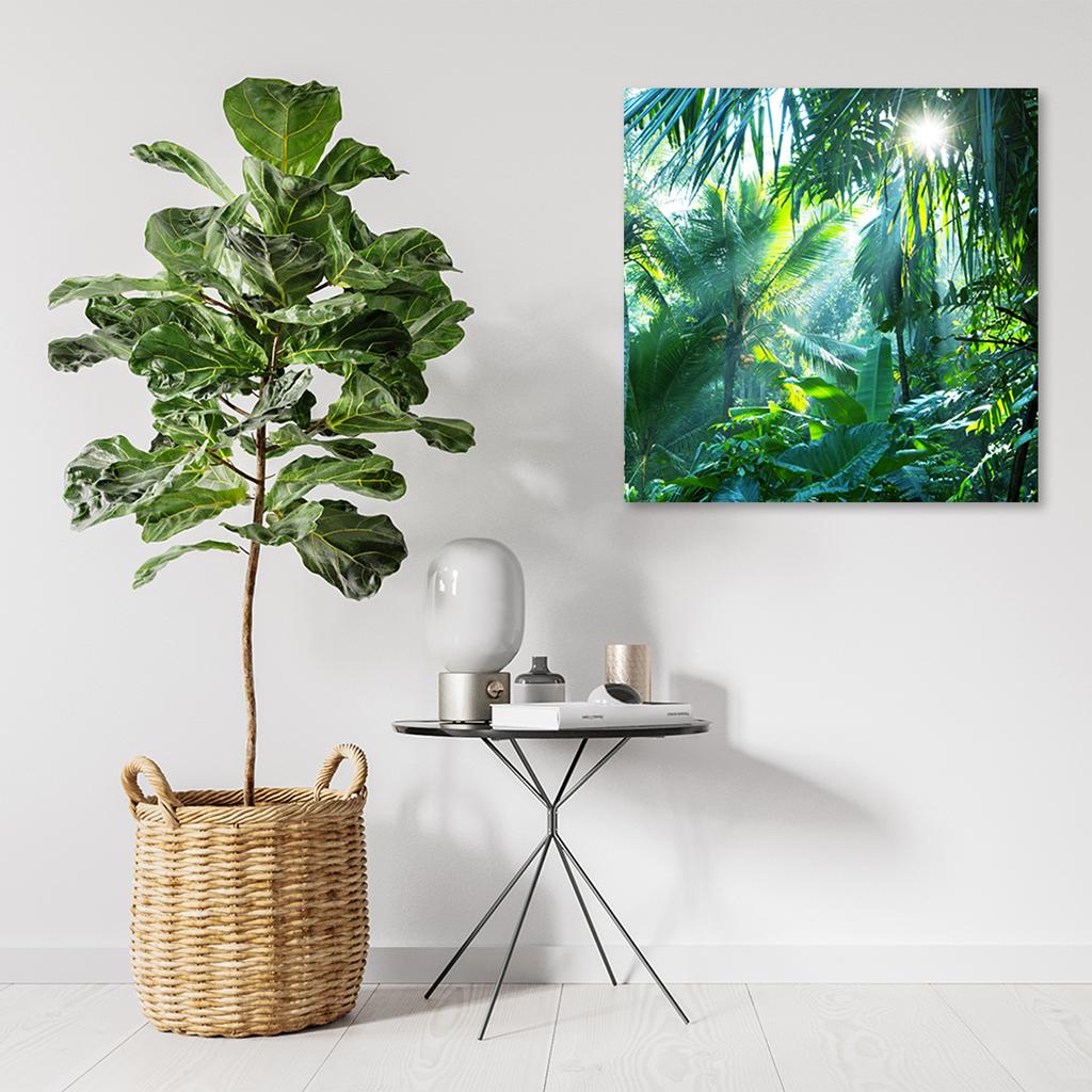Canvas Print Tropical Forest Nature