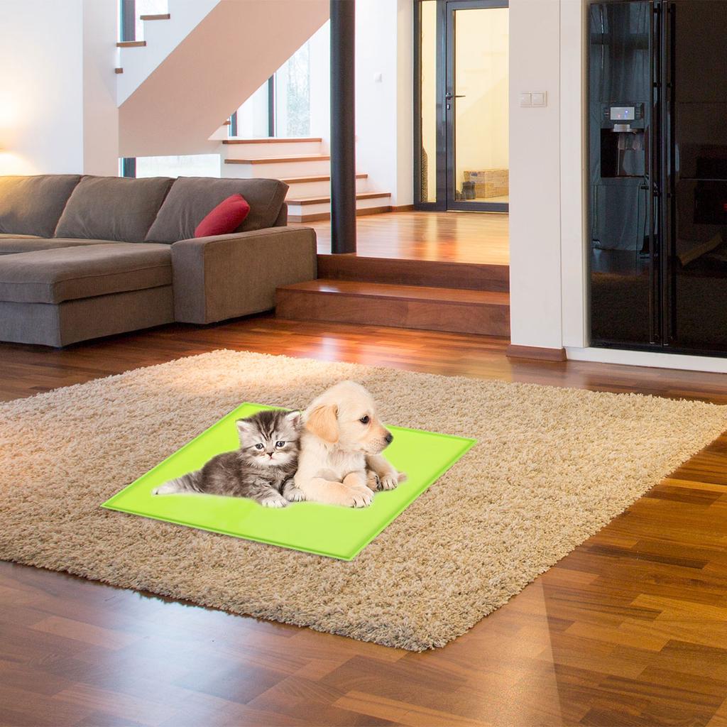 Pet Feeding Mat Red Silicone Waterproof Non-Slip Raised Edge Easy Clean Dishwasher Safe Dog Cat Food Bowl Pad Silicone Pet