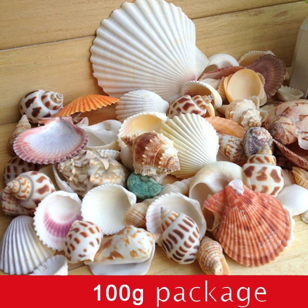 1bag Mixed Sea Beach Shells Crafts Seashells Aquarium Decor Photo Props shell coquillage home decoration accessories