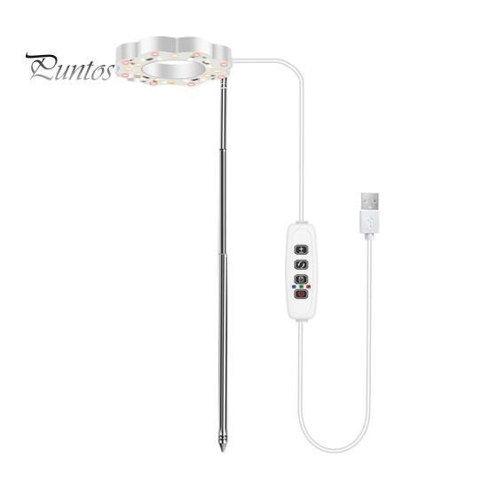 Buy Plant Grow Light with Auto Timer High Brightness Dimmable