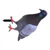 Garden Pigeon Outdoor Space Package Content Statue