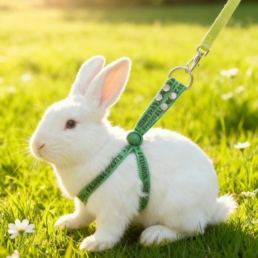 Soft Guinea Pig Harness Escape Proof Ferret Anti Loss Rope Ferret Harness Leash  Small Pets