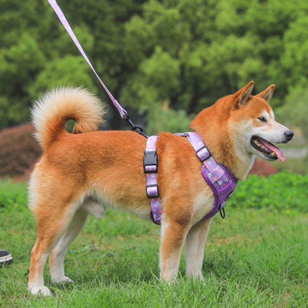 Atmungsaktives Hunde Geschirr Leine Set Verstellbare Katzen Geschirre Haustier Weste für Kleine Mittelgroße Hunde