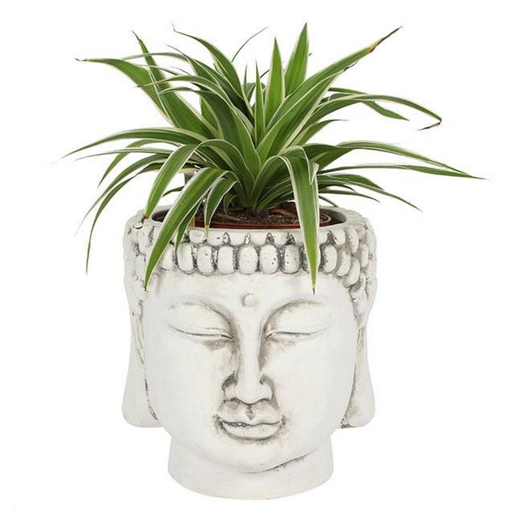 Something Different White Terracotta Buddha Head Planter