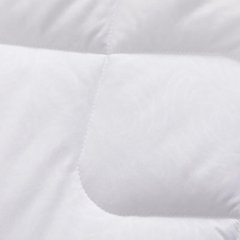 Mercury Yilan Negative Ion Antibacterial Fiber Quilt