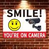 Vintage Metal Security Camera Sign 8x12 Retro Surveillance Warning Plaque, No Power Needed Wall Decor for Bars, Cafes