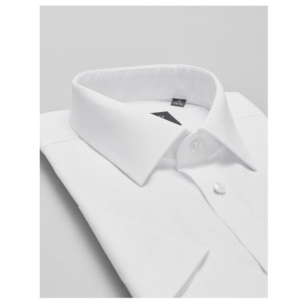 Borgio Canosa Shirt